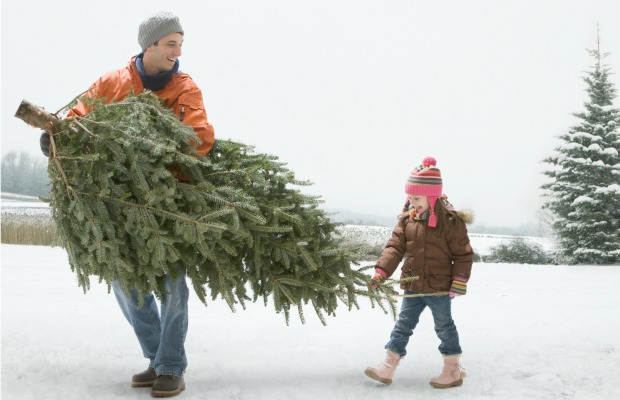 Christmas Tree DIY